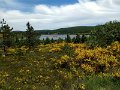 231 foto MVervoorn 2019-06-18 14.20.24